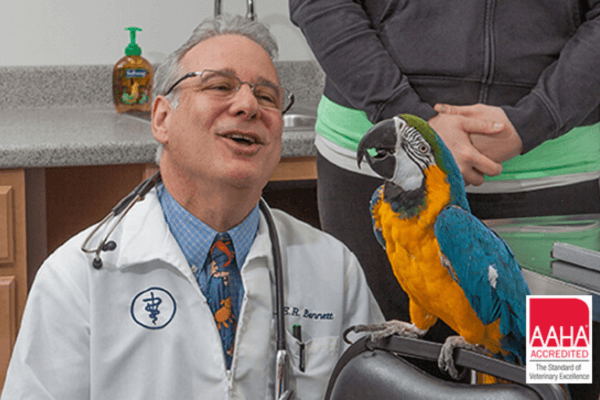 Dr. Edward with parrot