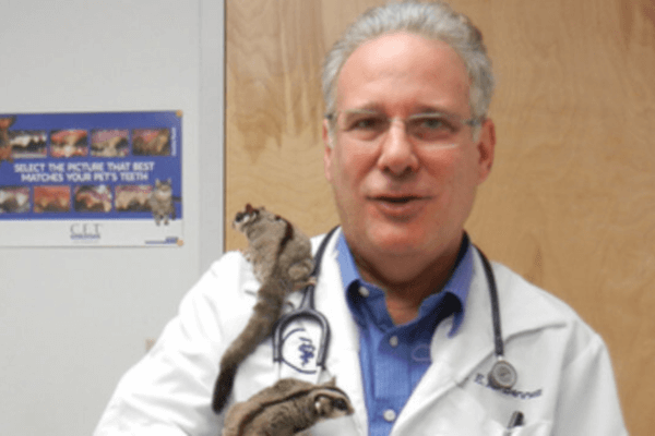 Dr. Edward at All Pet Animal Hospital