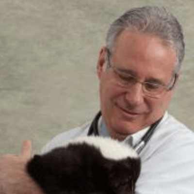 Dr. Edward Bennett at All Pet Animal Hospital