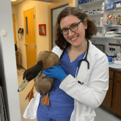 Dr. Emily Gardner at All Pet Animal Hospital