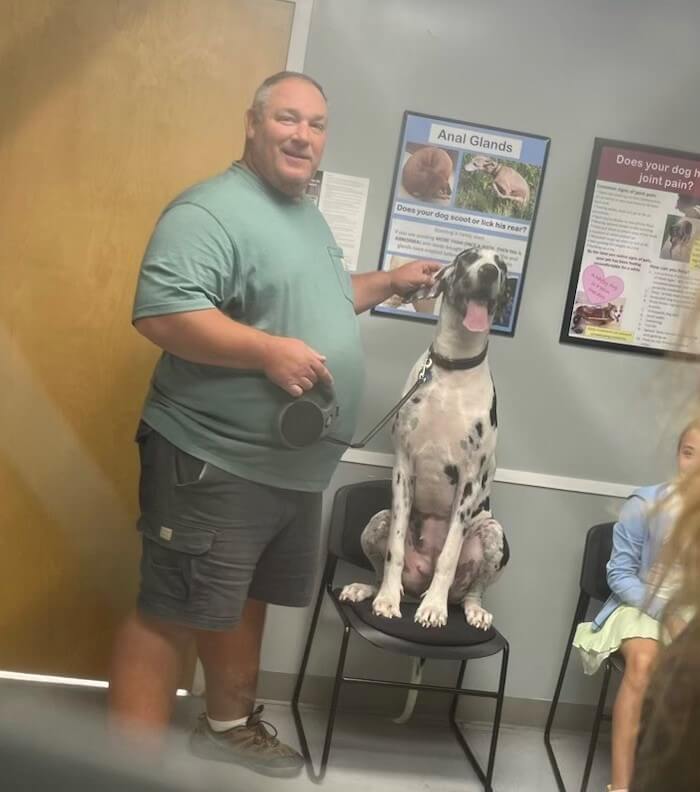 man with great dane