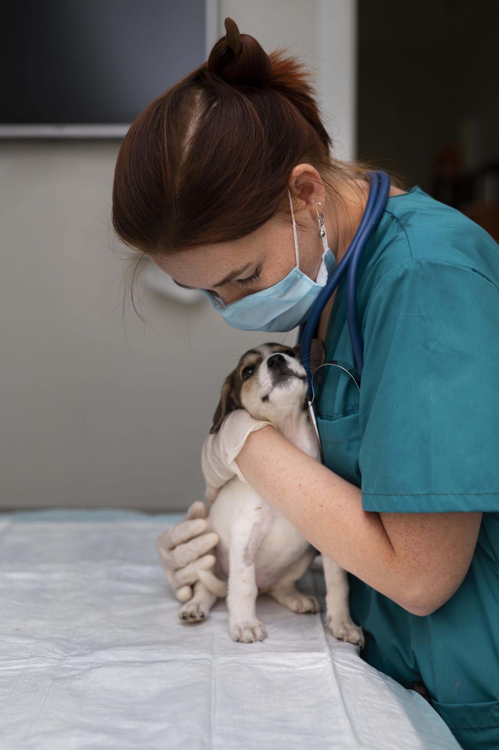 a vet hold puppy